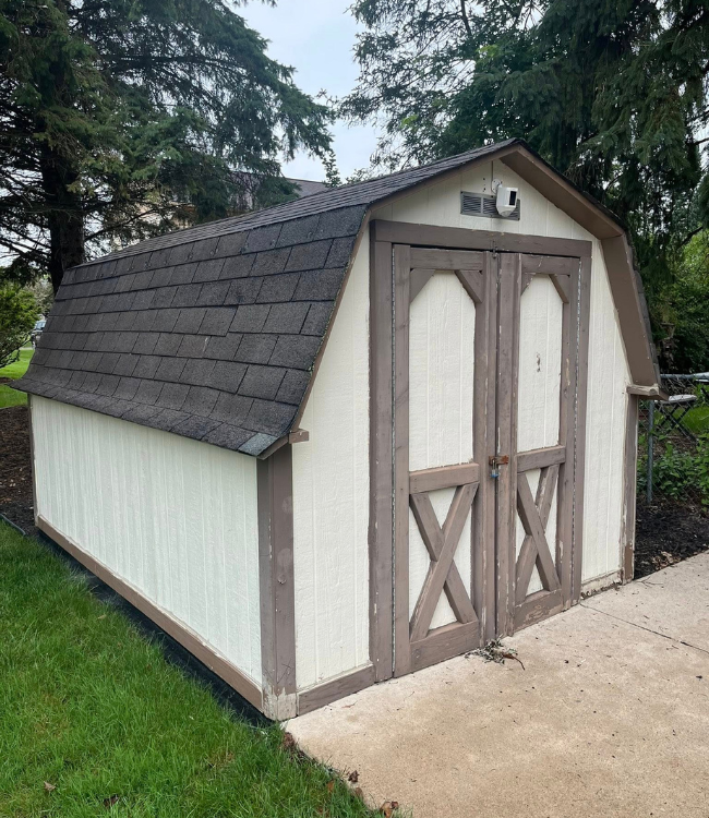 Before image